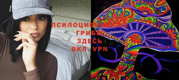 ALPHA-PVP Алексин