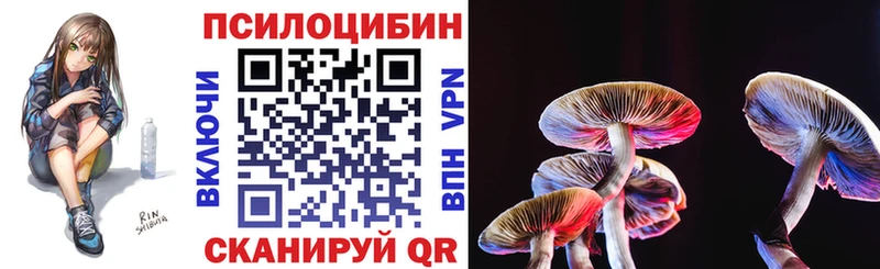 Псилоцибиновые грибы Psilocybe  Игарка 